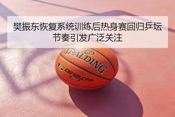 樊振东恢复系统训练后热身赛回归乒坛节奏引发广泛关注