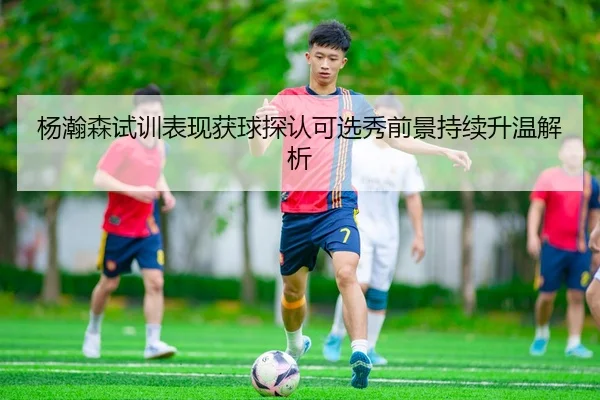 杨瀚森试训表现获球探认可选秀前景持续升温解析